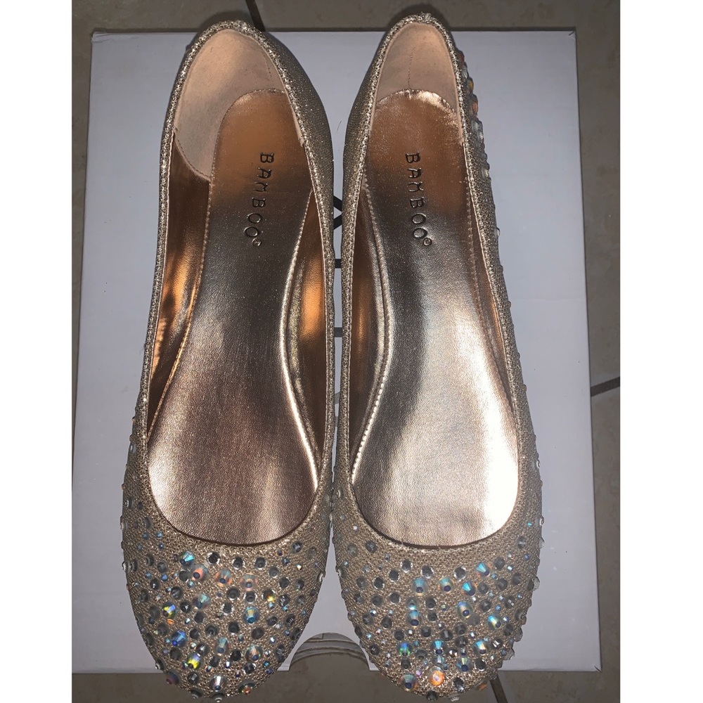 Agaci Shoe (Flats Never Worn)